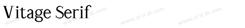 Vitage Serif字体转换